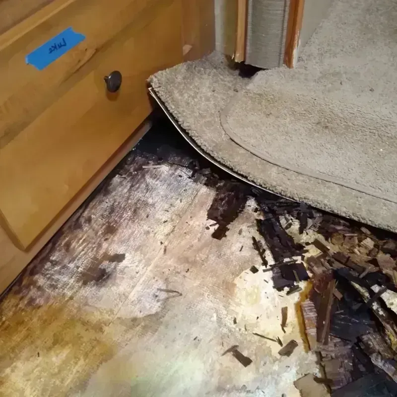 Wood Floor Water Damage in Shelton, NE